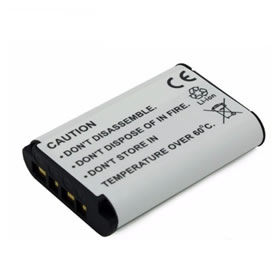 Sony HDR-GWP88E Battery