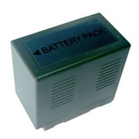 Panasonic CGP-D110 Battery